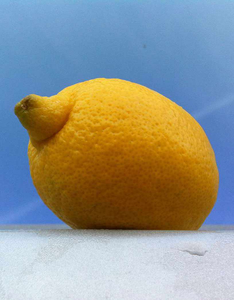 The Lemon in snow